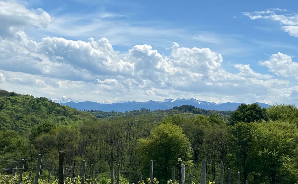 Magnifique Vue sur les Pyrénées dans la Région Viticole de Jurançon